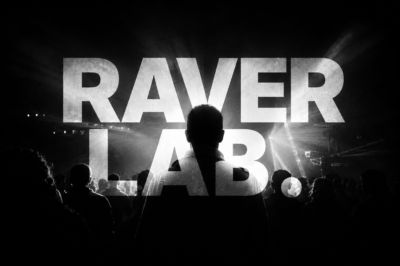 Raver Lab, multidão em show, silhueta no palco
